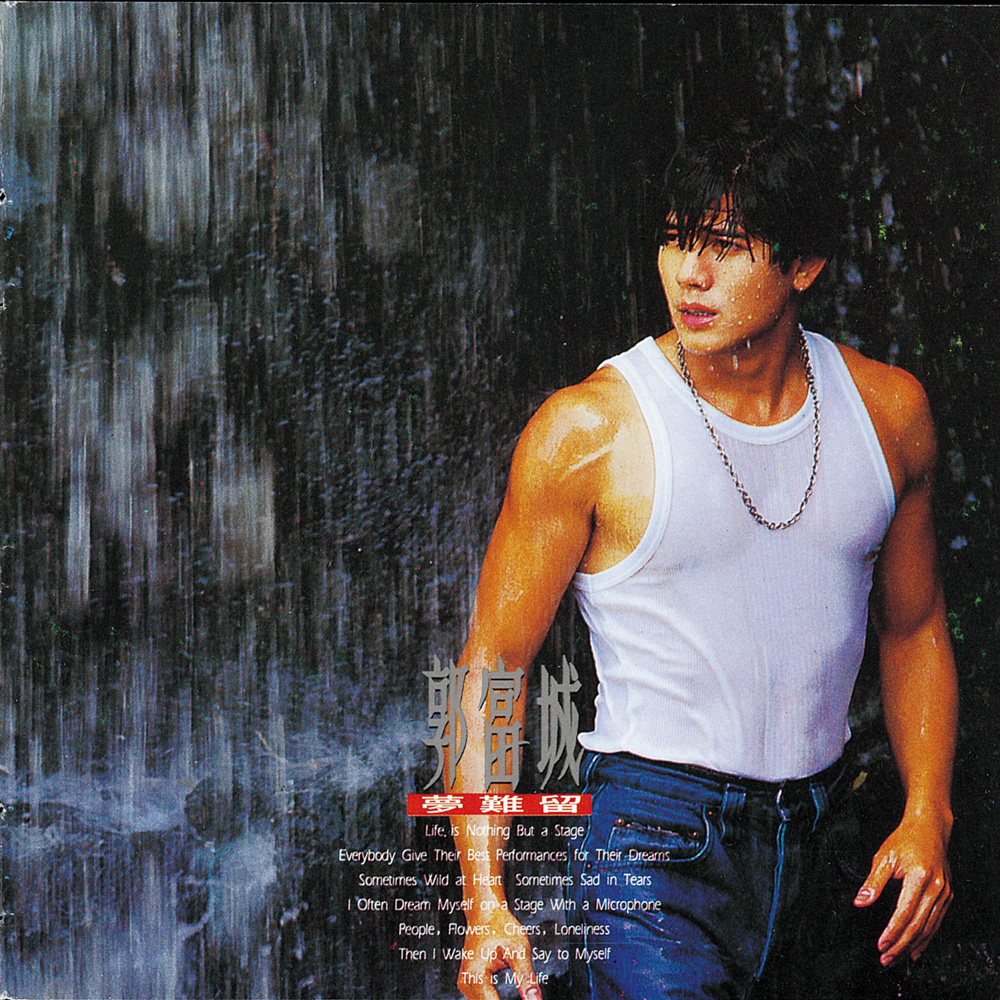 1993 夢難留
